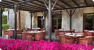 Dubai Holiday Direct Photo Gallery Photo Gallery